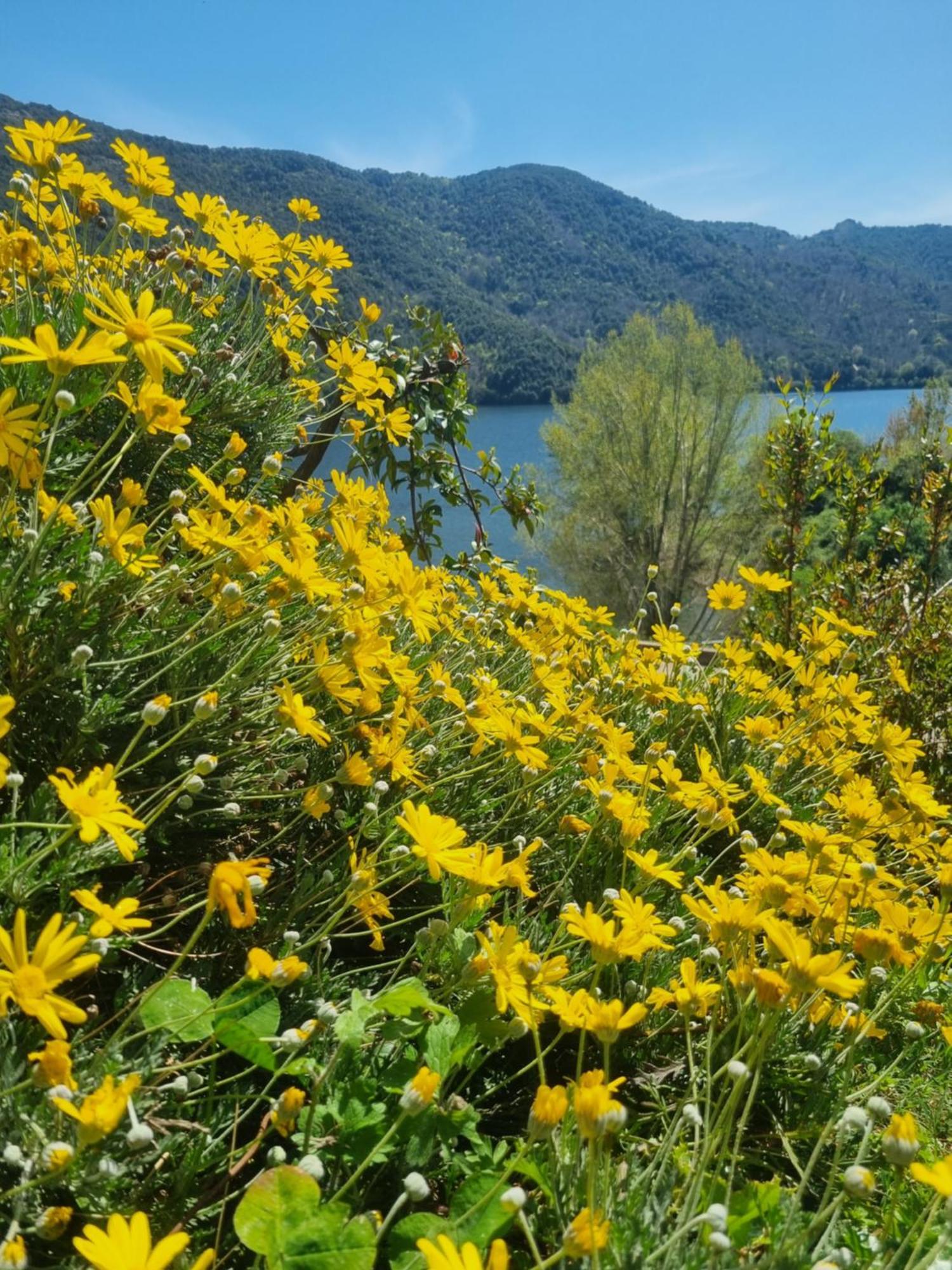 Côté Lac Tolla Exterior foto
